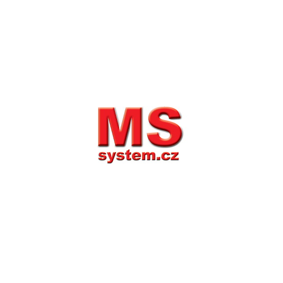 Logo MS System